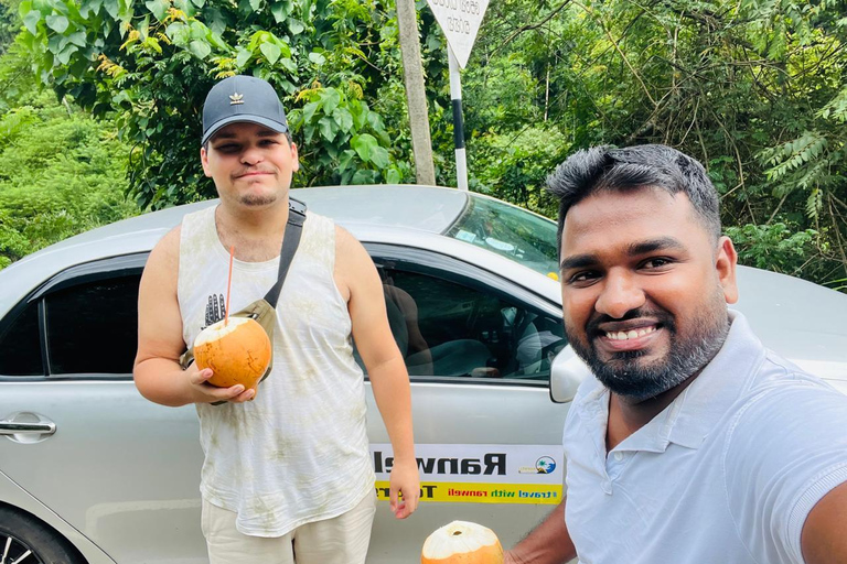Kandy: Sigiriya, Dambulla, or Habarana Transfer & Tour