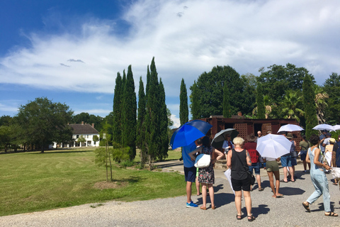 From New Orleans: Whitney and Laura Guided Plantation Tour