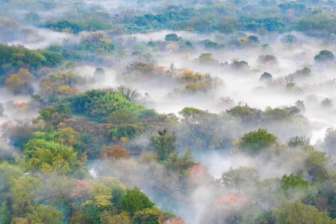 Hangzhou: Xixi National Wetland Park Entry Ticket & Cruise Xixi National Wetland Park Entry Ticket
