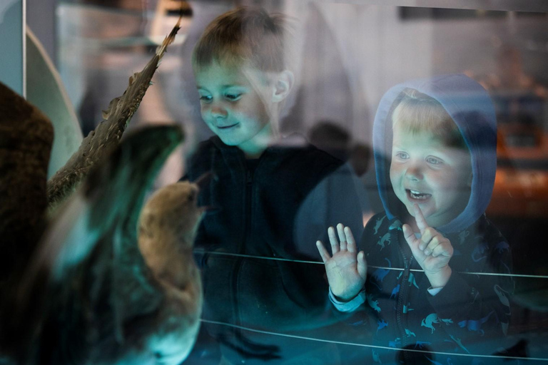 Christchurch International Antarctic Centre Entry Tickets