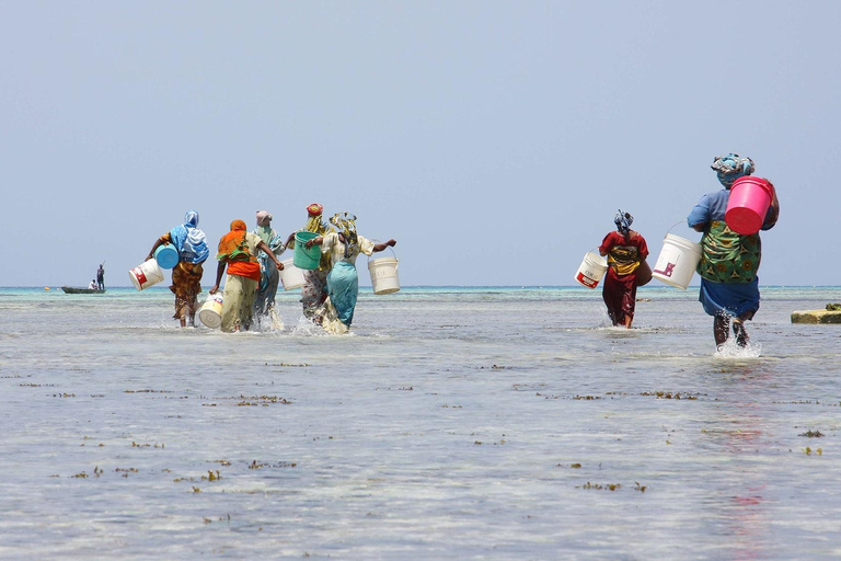 Da Zanzibar: esperienza culturale del villaggio di Nungwi