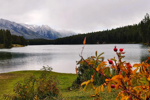 Calgary, Canmore, Banff, Gondel, Lake Louise, Peyto/Emerald