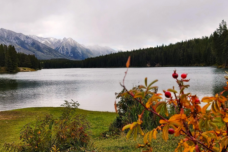 Calgary, Canmore, Banff, gondola, Lake Louise, Peyto/Emerald