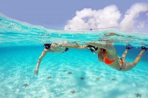 Sharm El Sheij Viaje en Parasailing y lancha rápida para hacer snorkel