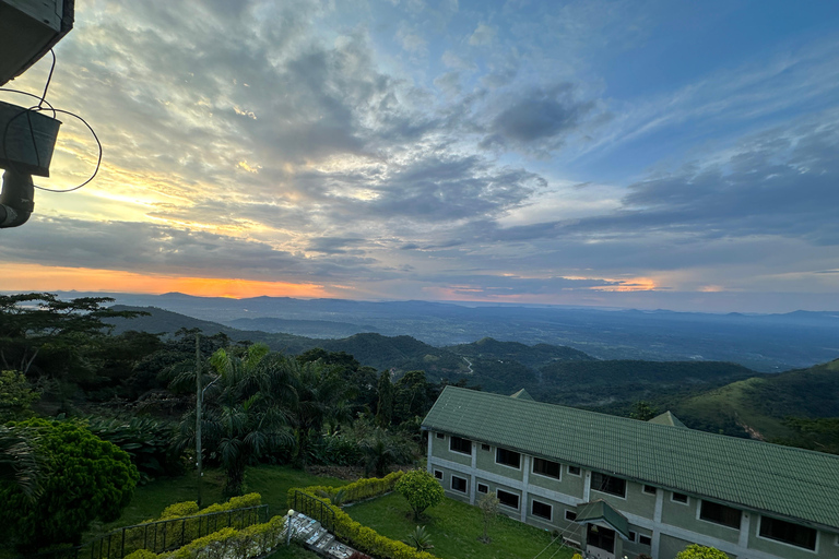 Ghana: 2-Day Monkey Sanctuary, Waterfall and Hiking Tour