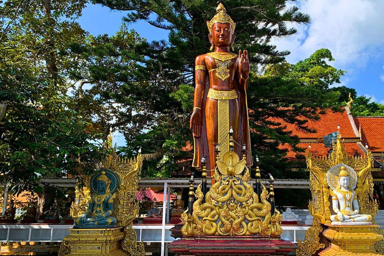 Visite du Doi Suthep et du temple Wat Pha Lat en soirée