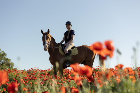 Horse Sanctuary in Rome Elevating the Ride: Summer in the Simbruini Mountains