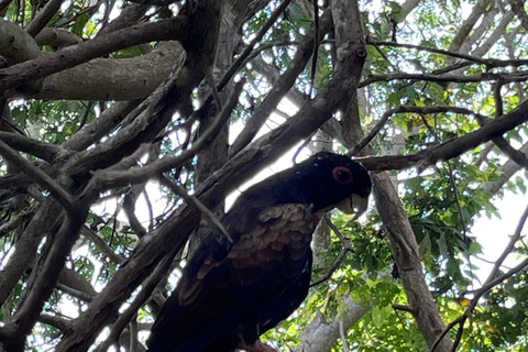 CARTAGENA: Aviary and Beach Day Trip with Lunch