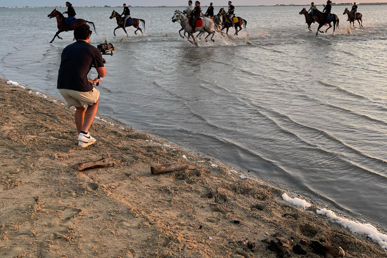 Horse Riding in Jeddah