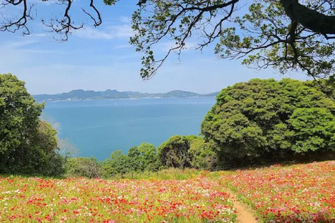 Fukuoka:Nokonoshima Island Day Trip with Tour Guide& Driver