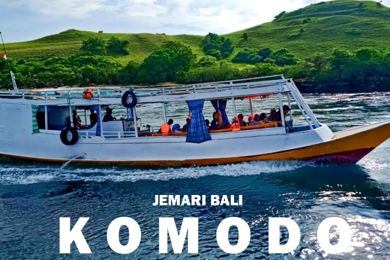 Sharing Full Day Komodo Tour For Backpacker With Slow Boat