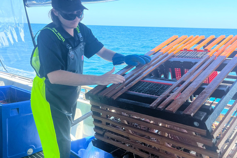 Rockingham: Lobster Catch and Keep Tour with Refreshments Lobster Catch and Keep Tour with Refreshments