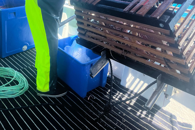 Rockingham: Lobster Catch and Keep Tour with Refreshments Lobster Spectator (No Catch & Keep)