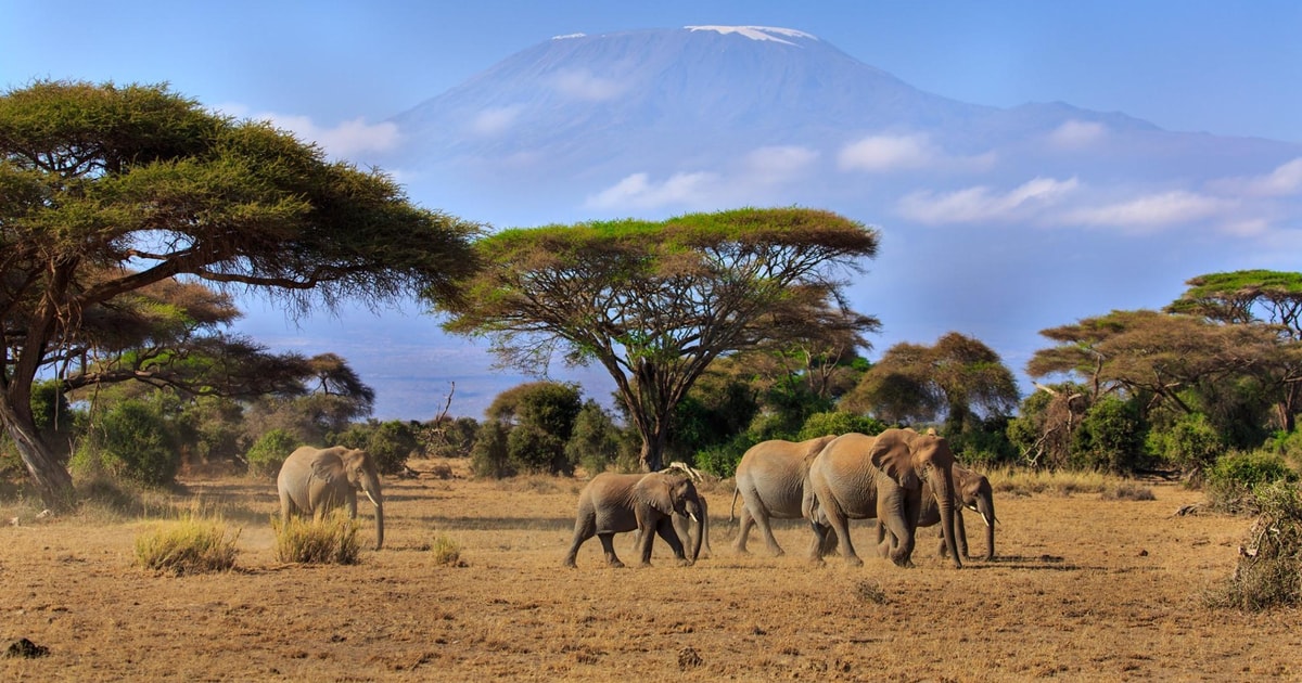 Dniowe Prywatne Safari W Amboseli Nad Jeziorem Naivasha I Jeziorem