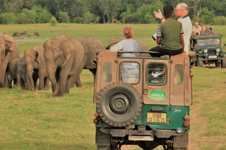 Polonnaruwa Cycling: Paddy-Field Lunch with Eco Park Safari All-Inclusive Package