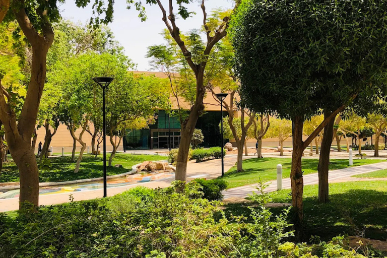 Riyad : visite guidée du palais Murabba avec prise en charge à l'hôtelRiyad : visite guidée du palais Murabba sans prise en charge à l'hôtel