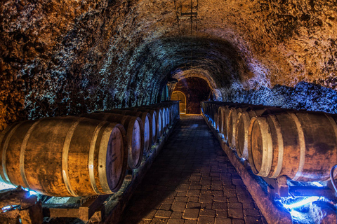 Au départ de Bilbao : La Rioja, un voyage à travers les vignobles et la traditionDepuis Bilbao : La Rioja, un voyage à travers les vignobles et la tradition