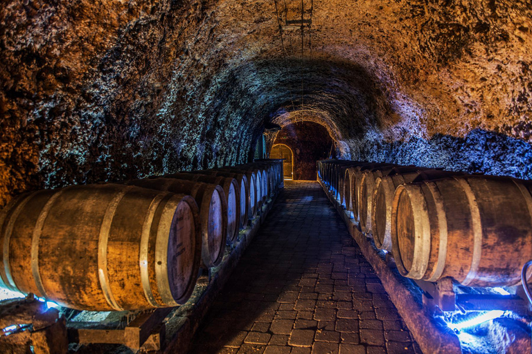 Au départ de Bilbao : La Rioja, un voyage à travers les vignobles et la traditionDepuis Bilbao : La Rioja, un voyage à travers les vignobles et la tradition