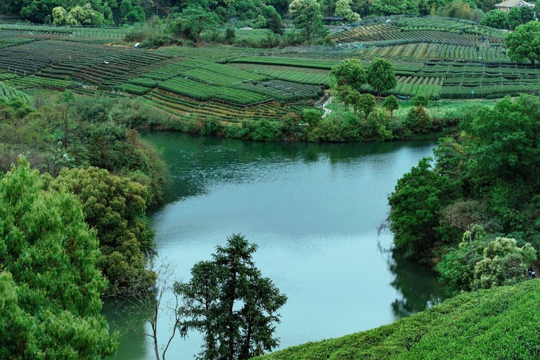 جولة شاي هانغتشو: القرى والبحيرات وتجربة الشاي المخفوقدليل للغة الإنجليزية والصينية