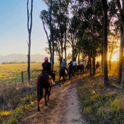 Hunter Valley: Sunset Horse Riding Tour 90 min