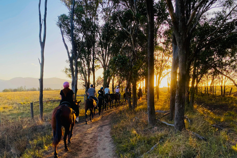 Hunter Valley: Sunset Horse Riding Tour 90min