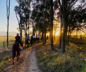Hunter Valley: Passeio a cavalo ao pôr do sol