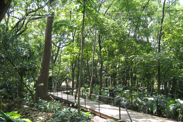 Medellín natural: jardim botânico, parque Arví, monte El volador e almoço.