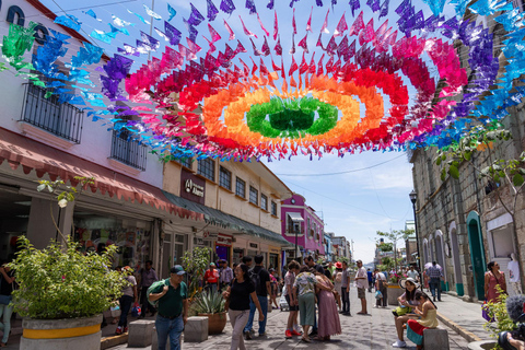 Da Puerto Escondido: Gataway a Oaxaca in un giorno.