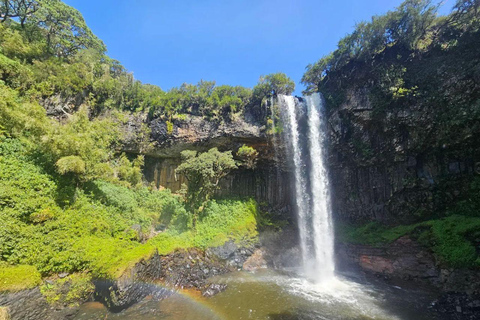 Nairobi: Overnight Adventure in Aberdare National Park