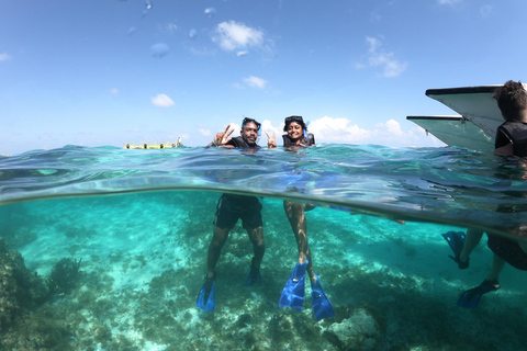 Cancun: Speedboat, Snorkeling, Dolphin Beach & Parasailing