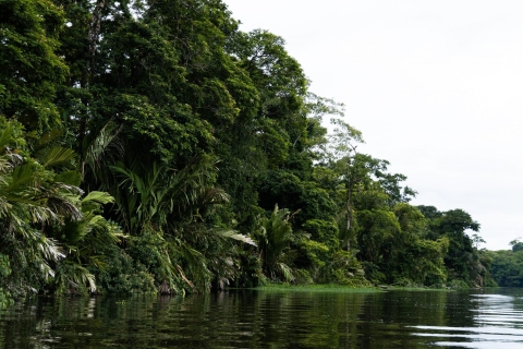 Parc national de Tortuguero : Les meilleures choses à faire à Tortuguero