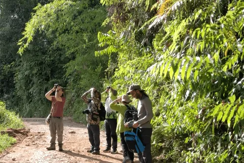 Observação de aves em Guatapé com cerca de 400 espécies de aves