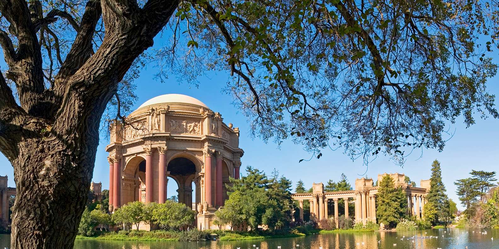 San Francisco: Alcatraz Island & 48-Hour Hop-On Hop-Off Tour - tour image