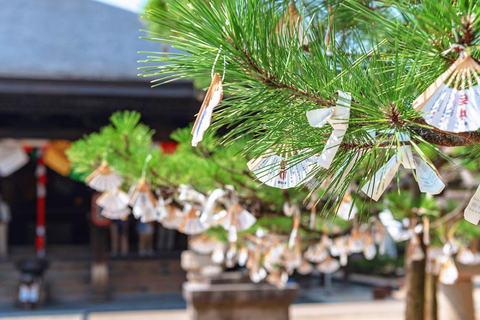 Excursión de un día a los pueblos de paja de Amanohashidate, Igen y Miyama