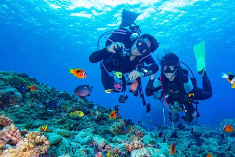 Hurghada: Intro Diving & Snorkeling Tour with Lunch & Drinks Hurghada: Introduction dive & Snorkeling Cruise with Lunch