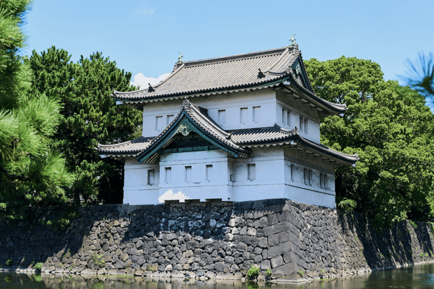 Palazzo imperiale e shogun: tour a piedi con guida locale