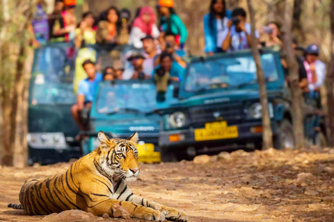 Delhi: Private 5 Days Golden Triangle Tour With Tiger SafariCar and Guide (No Entrance - No Meal - No Tickets)