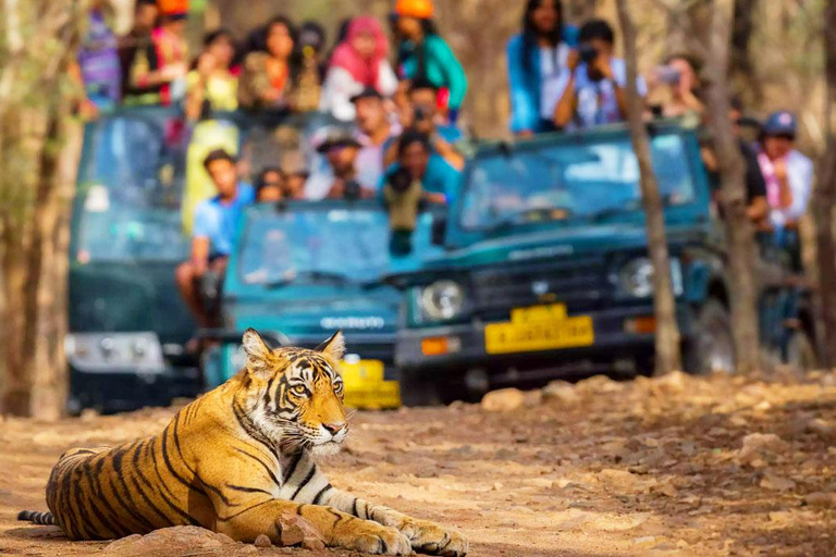 Delhi: Private 5 Days Golden Triangle Tour With Tiger SafariCar and Guide (No Entrance - No Meal - No Tickets)