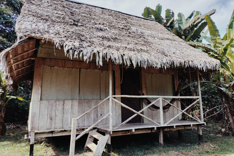 all inclusive tours in iquitos, Amazon tour