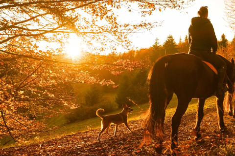 在阿尔莫多瓦尔德尔里奥骑马。