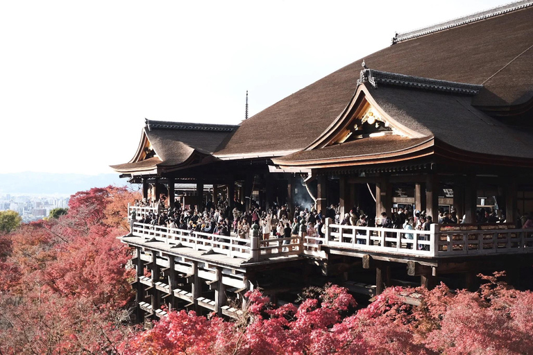 Kyoto Full-Day Customizable Private Tour with English Guide Luxury Toyota Land Cruiser Prado