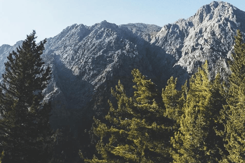 Safaris en Jeep de luxe : Montagnes blanches et visite de la Samarie