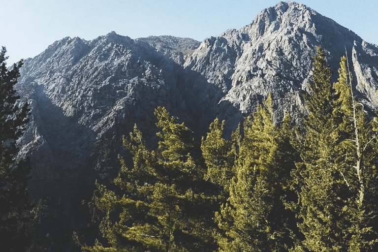 Safaris en Jeep de luxe : Montagnes blanches et visite de la Samarie