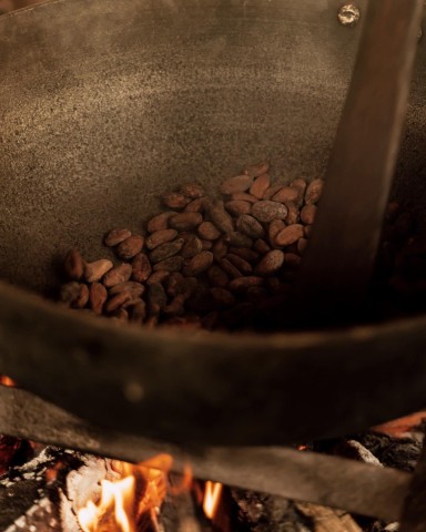 Visit Chocolate making in an Indigenous Village and Waterfall Tour in Puerto Viejo de Talamanca