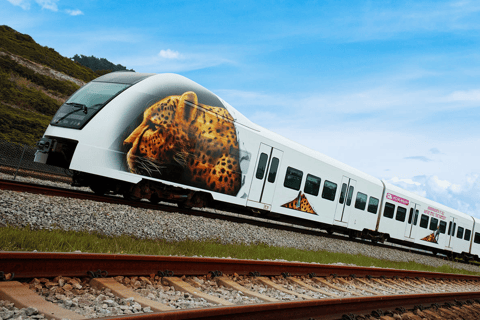 Kuala Lumpur: KLIA Ekspres PassRound Trip Ticket