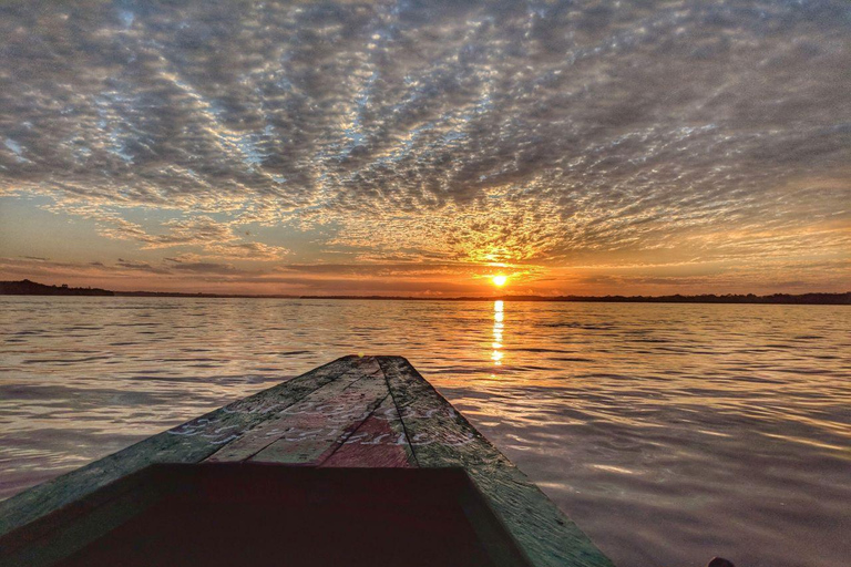 Iquitos: 4-Day Amazon Camp Jungle Tour Iquitos: 4-Day Amazon Camp Jungle Tour for 1 Person