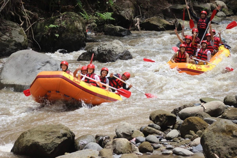 Ubud: ATV, Rafting, Jungle Swing, and Balinese Massage ATV with Transfer