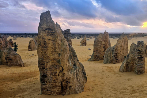 Perth-Pinnacles Desert: High Tea & Dark Sky Astronomy Tour Pinnacles Desert Photog/ High Tea & Dark Sky Astronomy Tour
