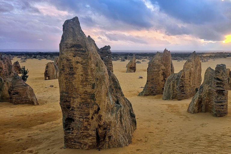 Perth-Pinnacles Desert: High Tea & Dark Sky Astronomy Tour Pinnacles Desert Photog/ High Tea & Dark Sky Astronomy Tour