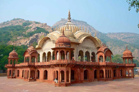 From Jaipur: Private Full Day Alwar City Tour By Car